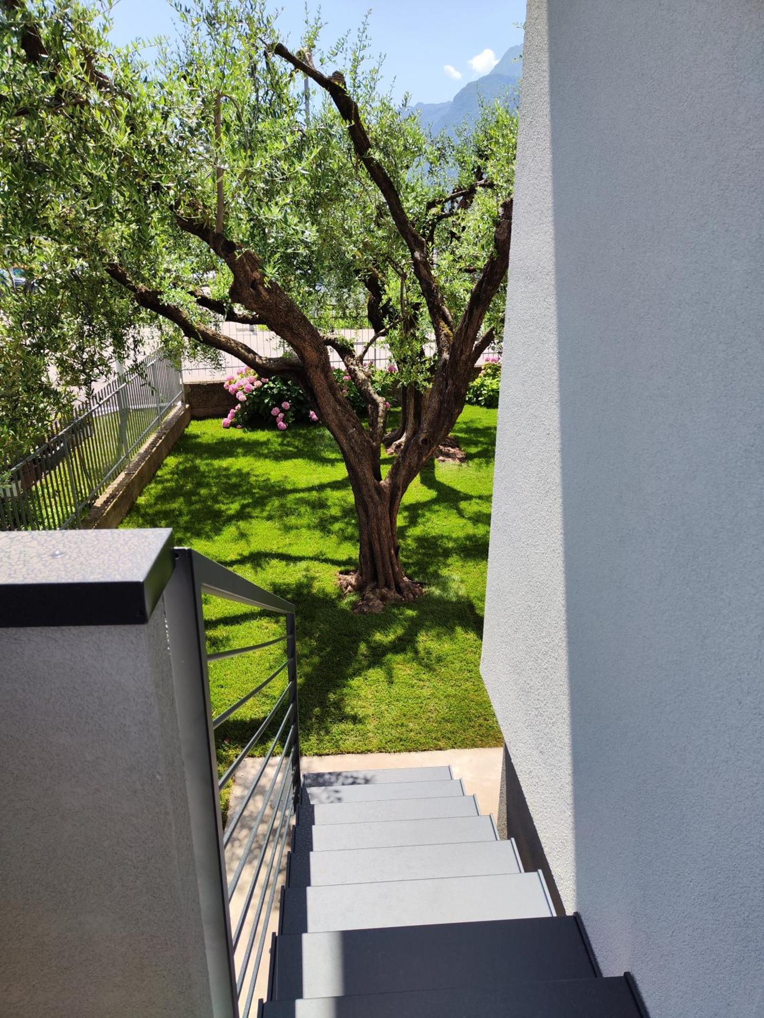 Oasi Degli Ulivi Apartment Riva del Garda Exterior foto