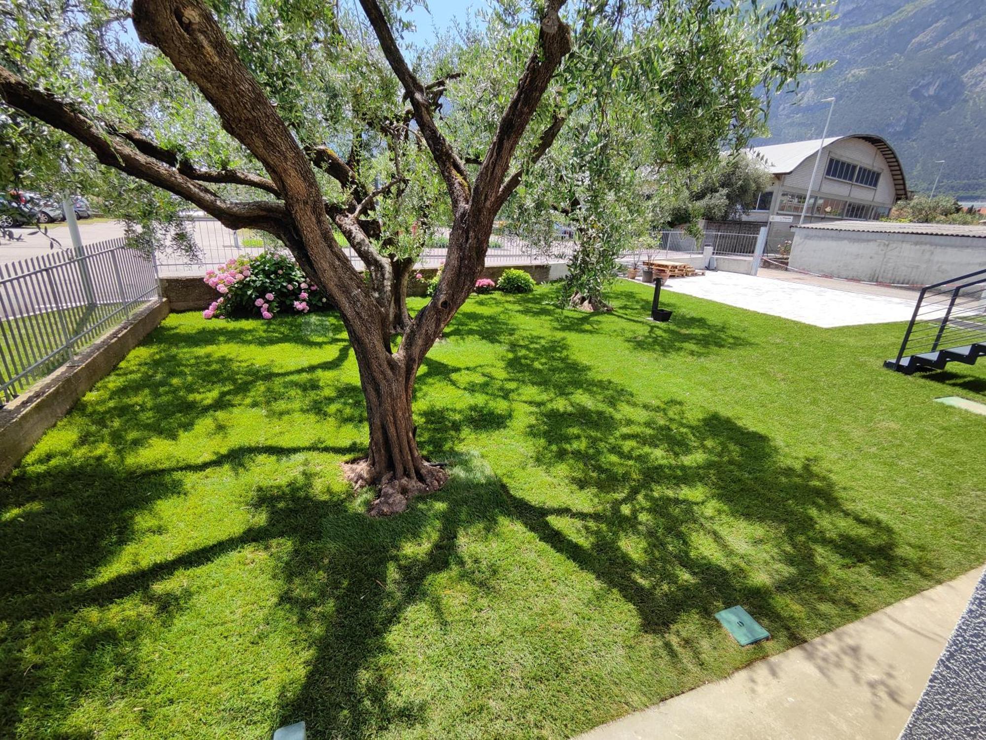 Oasi Degli Ulivi Apartment Riva del Garda Exterior foto