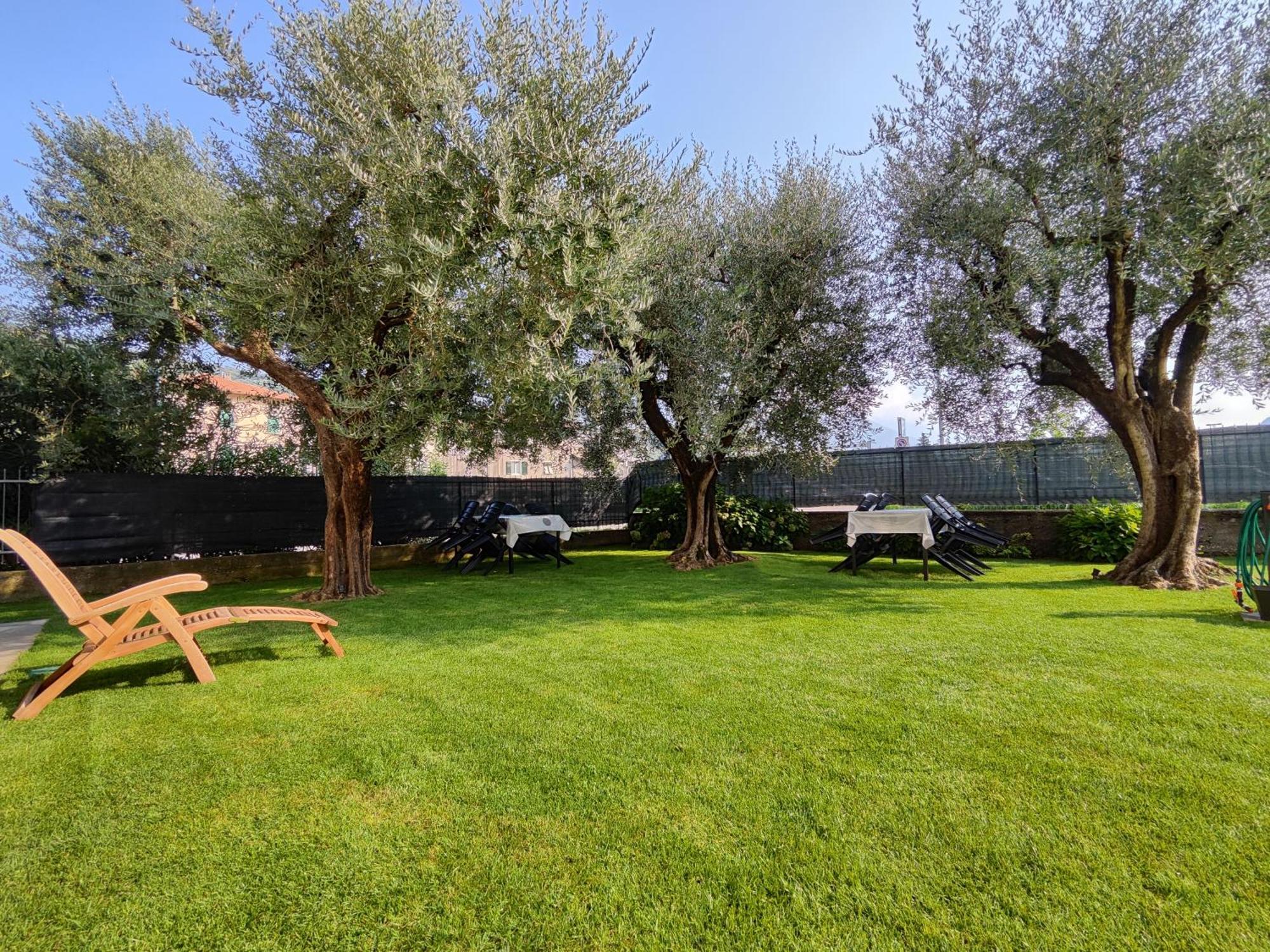 Oasi Degli Ulivi Apartment Riva del Garda Exterior foto