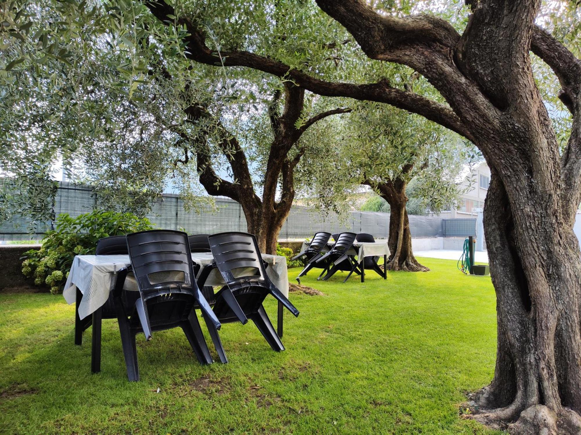 Oasi Degli Ulivi Apartment Riva del Garda Exterior foto